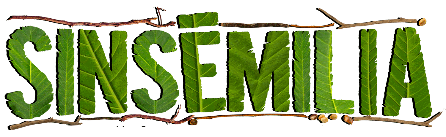LOGO-SINSE-30-ANS_1500